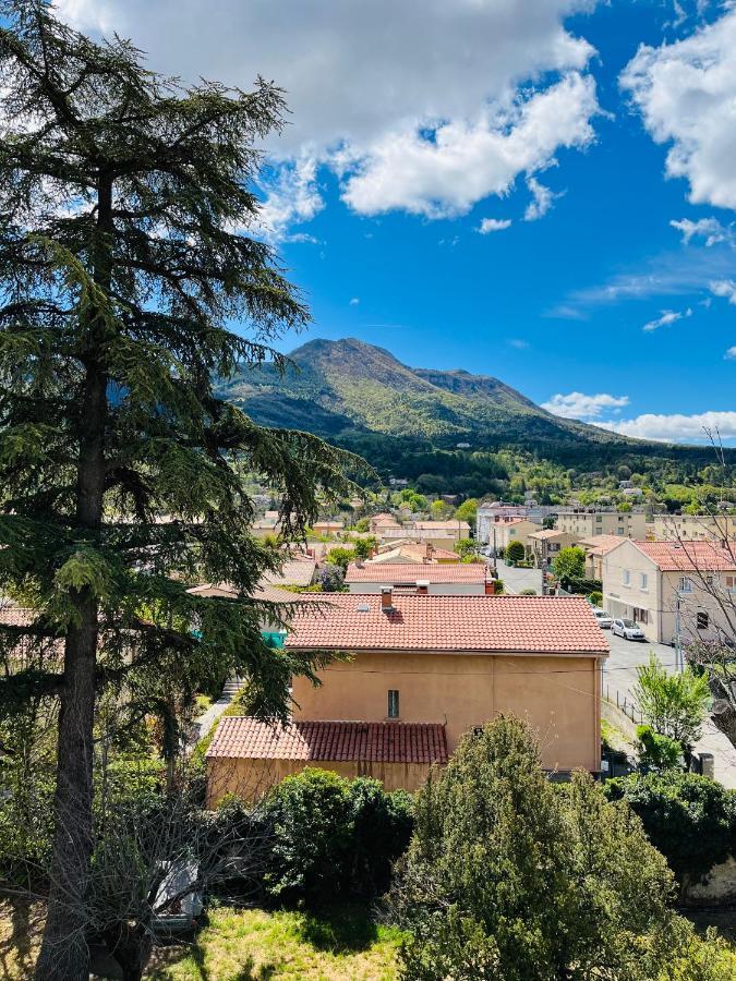Les Glycines, Charmant Studio Au Calme Dans Batisse De Maitre Proche Du Centre Ville Parking Gratuit ディーニュ・レ・バン エクステリア 写真