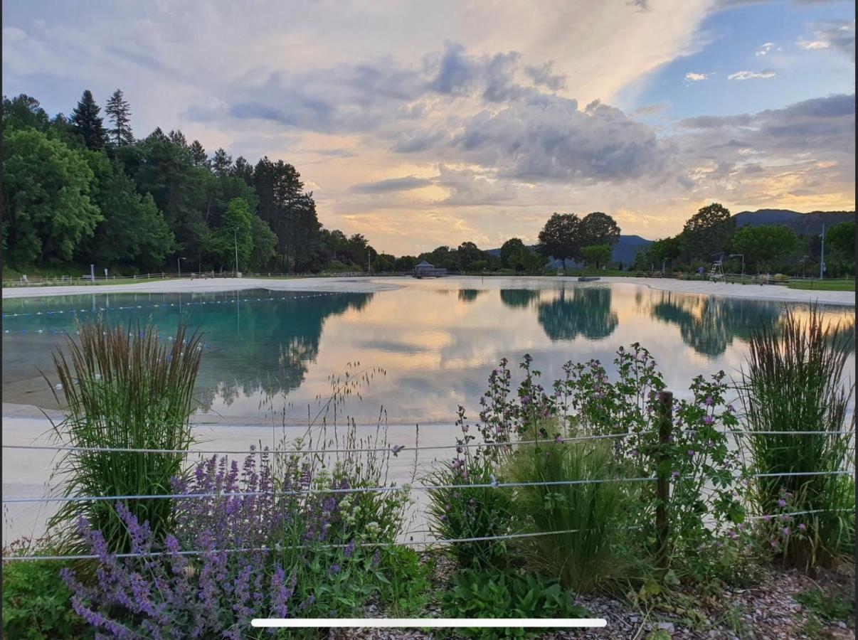 Les Glycines, Charmant Studio Au Calme Dans Batisse De Maitre Proche Du Centre Ville Parking Gratuit ディーニュ・レ・バン エクステリア 写真